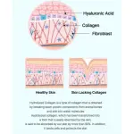 Marine Collagen Brightening cream Tone Up Cream