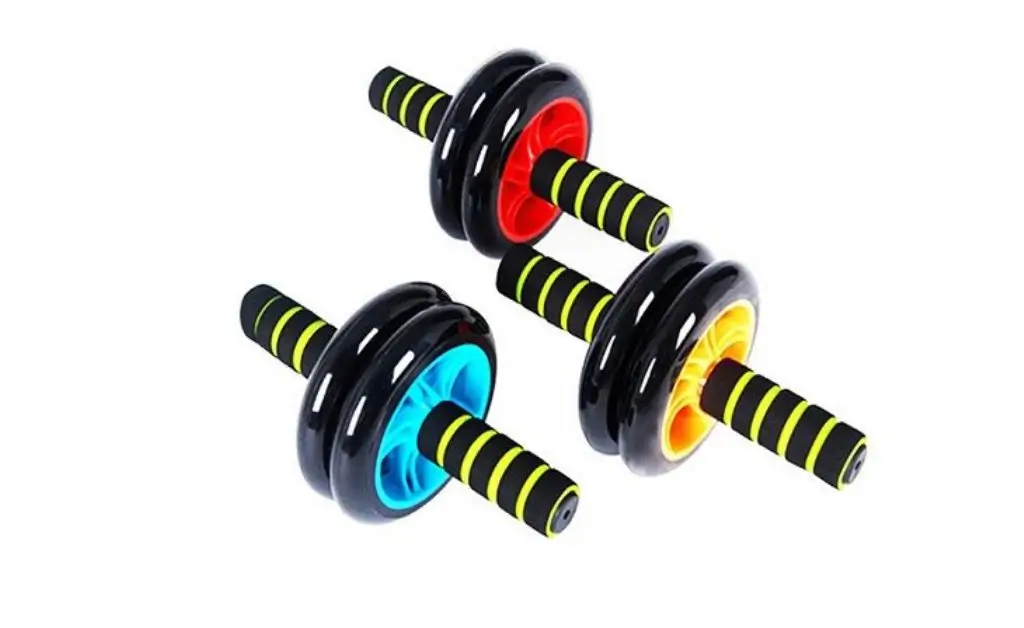 Exercise AB Roller Wheel- Multicolor