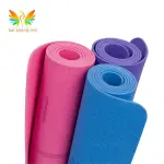 Eco Friendly Yoga Mat- 8mm (Blue)