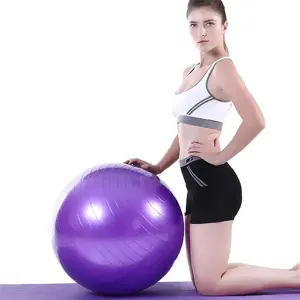 Gymnastic Exercise Ball With Pumper - Purple