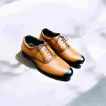 Oxford Formal Shoes Master Color (F-251)